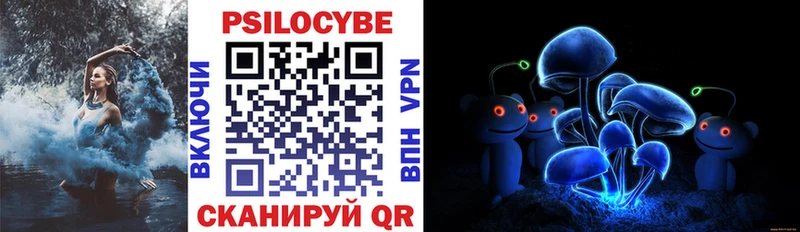 купить   Карпинск  мега ССЫЛКА  Галлюциногенные грибы Psilocybine cubensis 